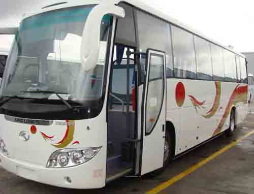飛鷹租車旅遊巴外觀 NL3135